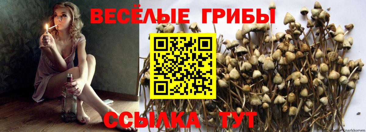 Галлюциногенные грибы GOLDEN TEACHER Строитель