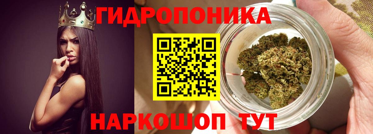 МАРИХУАНА OG Kush Строитель
